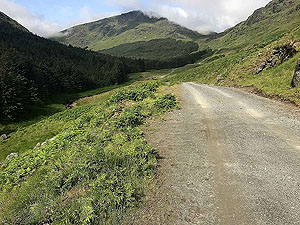 Glen Loin Loop. Route ahead