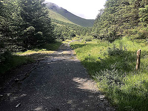 Glen Loin Loop. Marker on right, but path on the left