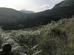 Glen Loin Loop. Is that the other Ben Vorlich in the distance