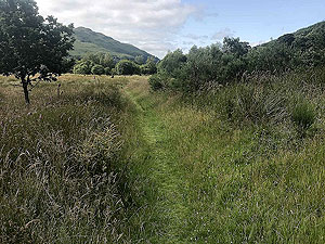 Glen Loin Loop. Path from the small road to the main road and finish