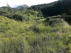 Glen Loin Loop. First main hill ahead