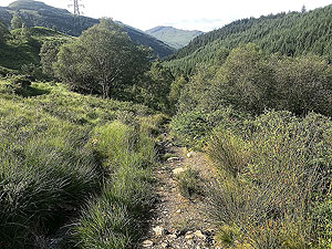 Glen Loin Loop. Back down the glen