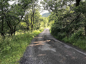 Glen Loin Loop. Just off the main road