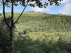 Glen Loin Loop. The green of Scotland