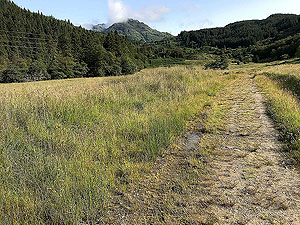 Glen Loin Loop. Path turning towards a trail