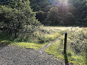 Glen Loin Loop. Small path across the field