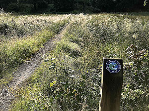 Glen Loin Loop. One of the Cowall way sign posts