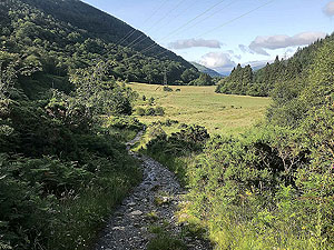 Glen Loin Loop. Looking back down the glen