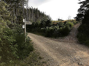 Bennachie. Junction between main path and trail