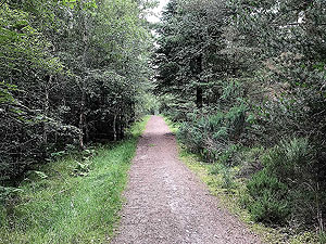 Bennachie. Path leaving the car park
