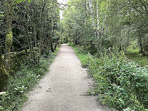 Bennachie. Path continues in the trees