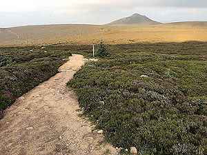 Bennachie