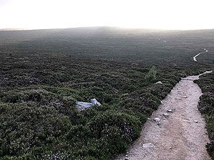 Bennachie. From start of the climb looking back at path