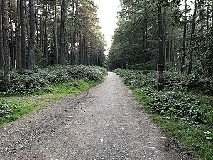 Scolty hill and more. Heading from the car park towards Scolty