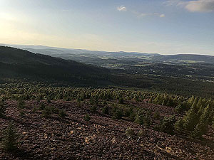 Scolty hill and more. Top of the tower looking down the Dee