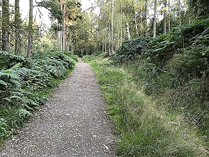Scolty hill and more. The path on the left from the gate