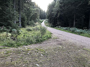 Scolty hill and more. The Deeside way seems to be all up in parts
