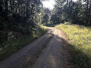 Scolty hill and more. Rather pleasant running