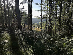 Scolty hill and more. The Dee appears  between the trees