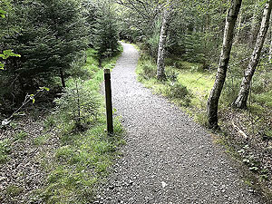 Scolty hill and more. Good quality paths