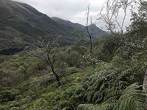 Glen Coe Marathon. Start of the second big climb