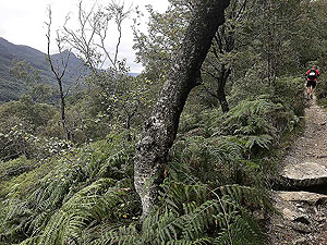 Glen Coe Marathon. This part feels really tough