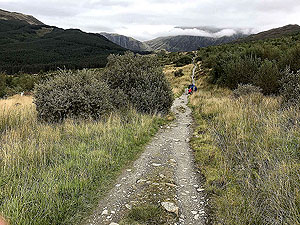 Glen Coe Marathon. Approaching the forest road