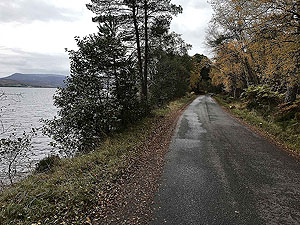 Loch Rannoch Marathon. Loch on your left for most of the run