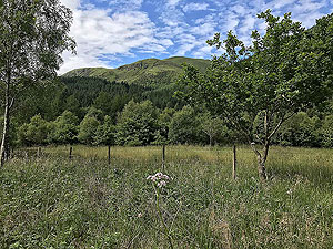 Ben Ledi. From the tarmac road back to the car park