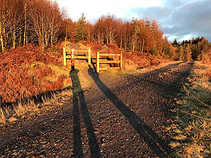 Ben Ledi. The path crosses a forest road