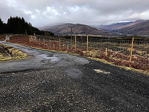 Killin - Lochan Breaclaich. More views