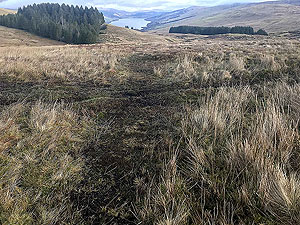 Killin - Lochan Breaclaich. Sometimes you can see a bit of a path