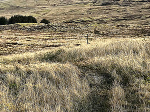 Killin - Lochan Breaclaich. Marker pole to aim for in the distance