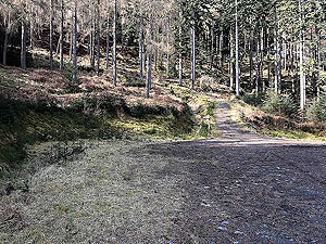 An Sidhean. Leaving forest road and heading up hill on the path