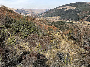 An Sidhean. Looking back down the path towards Strathyre