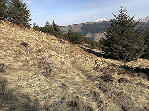 An Sidhean. Path does improve a little