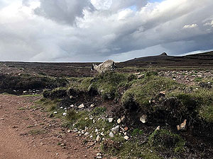 Clachnaben loop. One of the locals