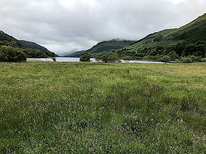 Lochs Voil and Doine. More Loch Voil