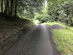 Lochs Voil and Doine. In amongst the trees. This is where the red squirrels can be spotted.