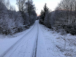 Lochs Voil and Doine. Almost out of the trees