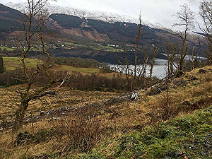 Aberfoyle past the tower. Image from Aberfoyle past the tower