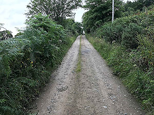 Clauchland hills fort. Dirt road