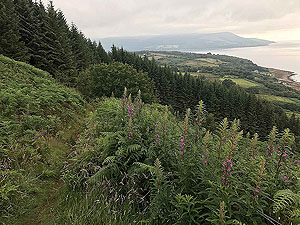 Clauchland hills fort. Down the hill towards Brodick