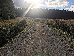 Durris Loop. Running into the evening sunshine
