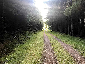 Durris Loop. 562_sm_005.jpg