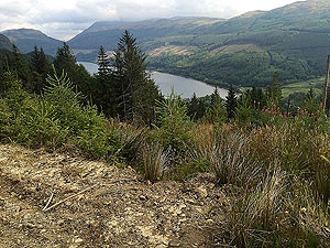 Meall Liath. View of Loch Lubnaig