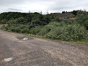 Meall Liath. Coming up to the small quarry