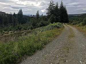 Meall Liath. Looking back