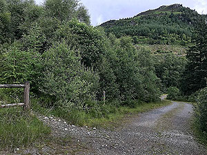 Meall Liath. You can keep on the main road