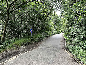 Meall Liath. Keep straight on past the metal bridge